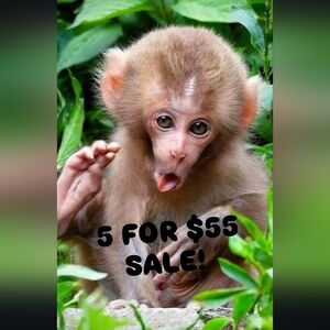 ๐ผ๐นFOR A LIMITED TIME! 5 FOR $55 ON MY ENTIRE CLOSET IS BACK!๐น๐ผ Details Below